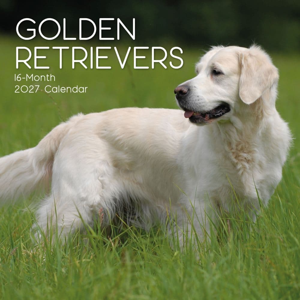 image Golden Retrievers 2027 Wall Calendar Main Product Image