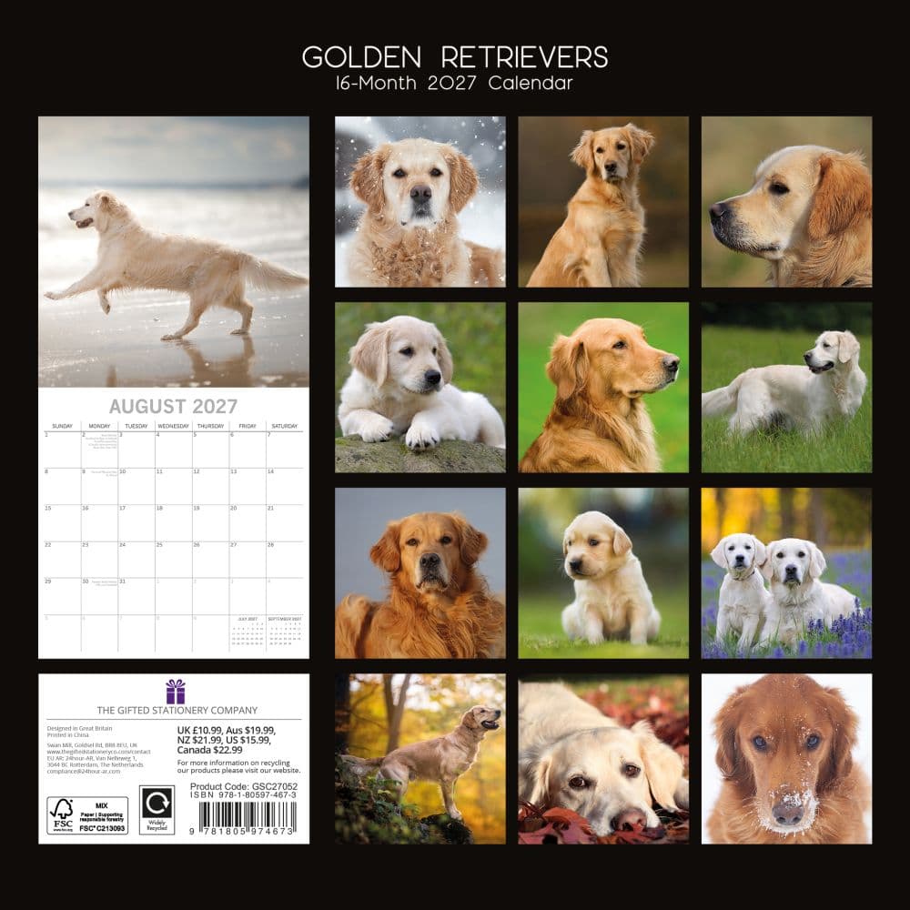 Golden Retrievers 2027 Wall Calendar First Alternate Image