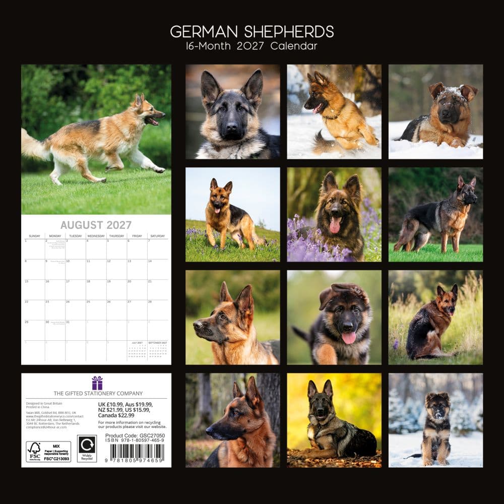 German Shepherds 2027 Wall Calendar First Alternate Image