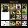 image French Bulldogs 2027 Wall Calendar First Alternate Image
