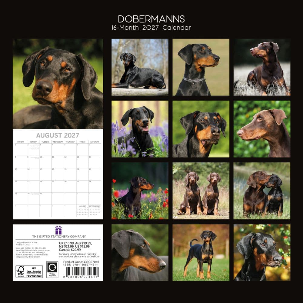 Dobermanns 2027 Wall Calendar First Alternate Image