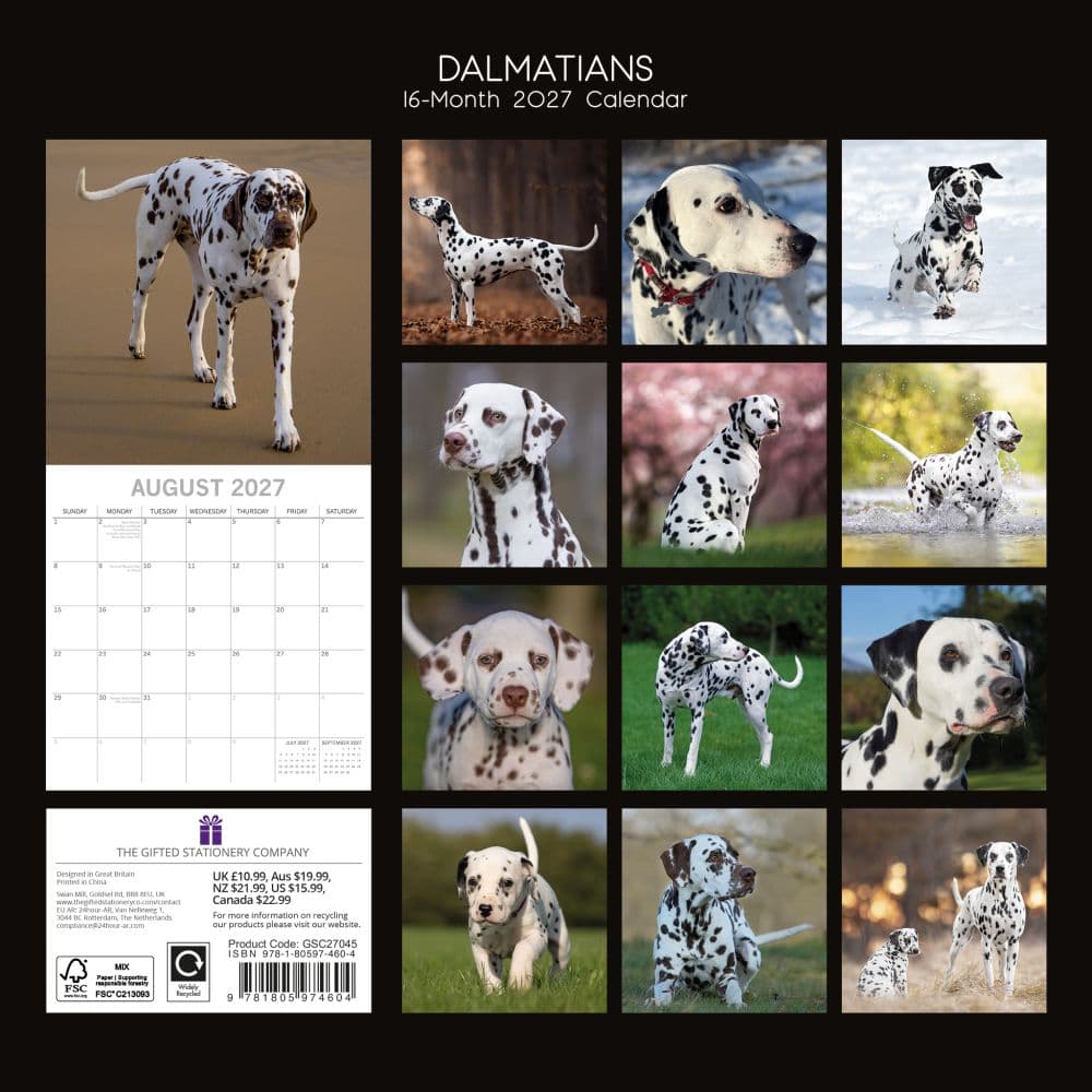 Dalmatians 2027 Wall Calendar First Alternate Image