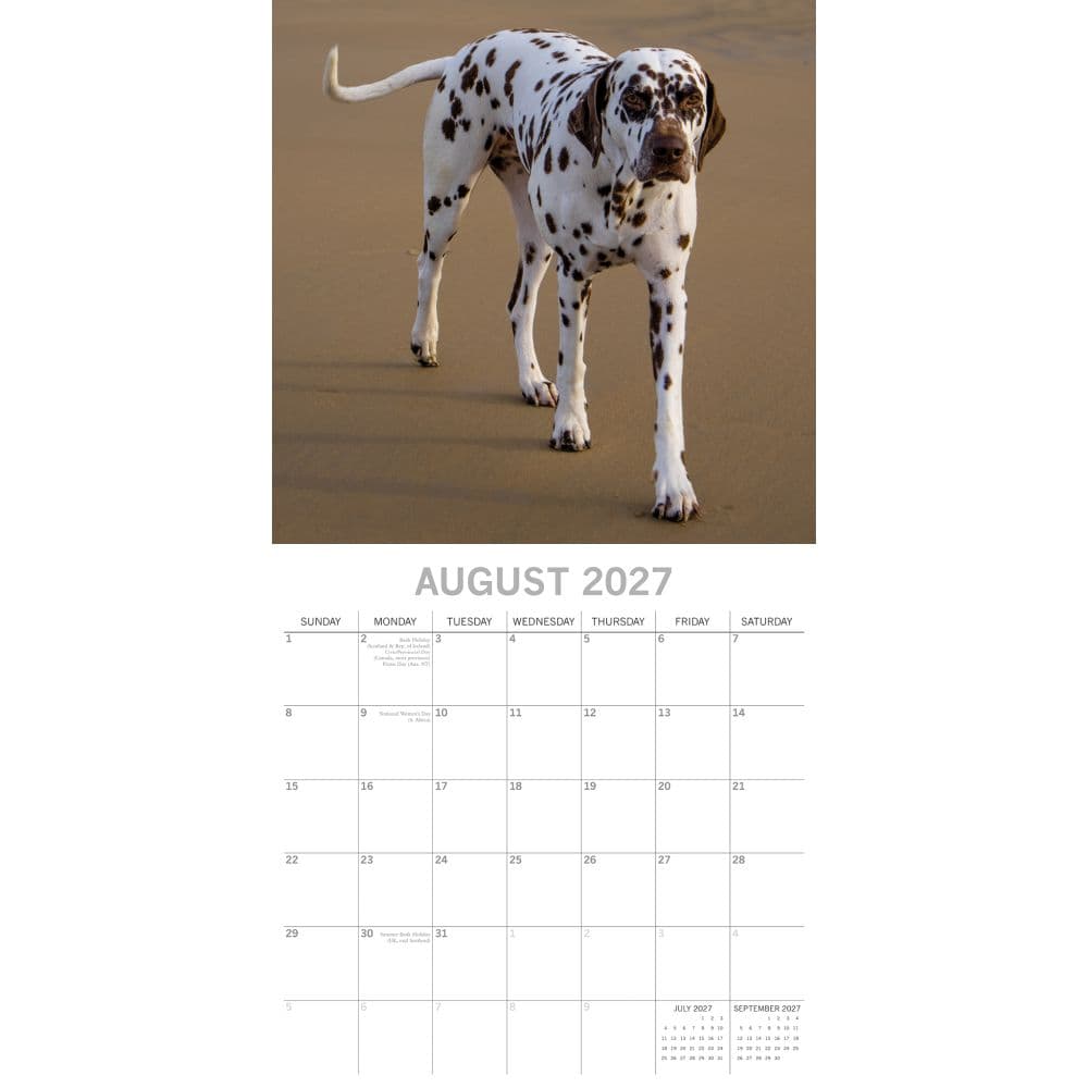 Dalmatians 2027 Wall Calendar Second Alternate Image
