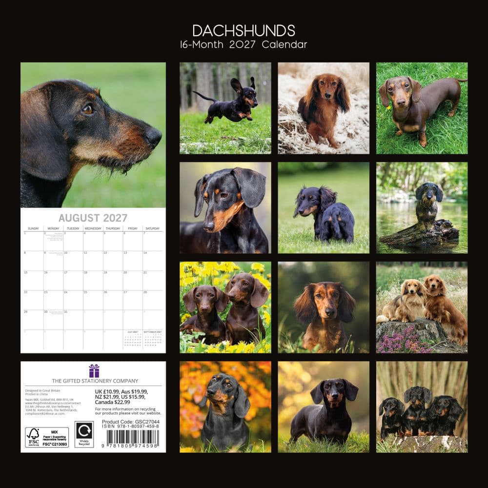 Dachshunds 2027 Wall Calendar First Alternate Image