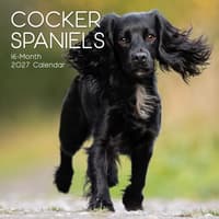 image Cocker Spaniels 2027 Wall Calendar Main Product Image
