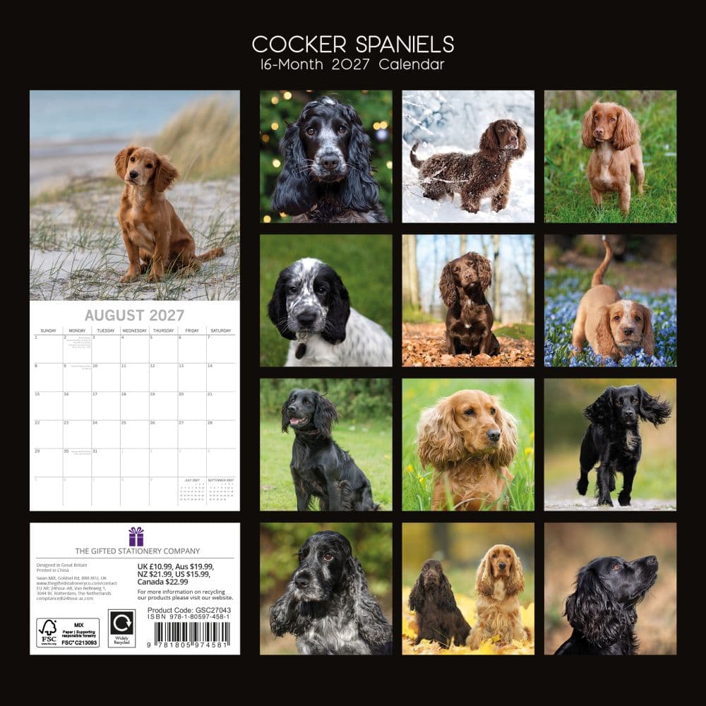 Cocker Spaniels 2027 Wall Calendar First Alternate Image