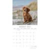 image Cocker Spaniels 2027 Wall Calendar Second Alternate Image