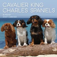 image Cavalier King Charles Spaniels 2027 Wall Calendar Main Product Image