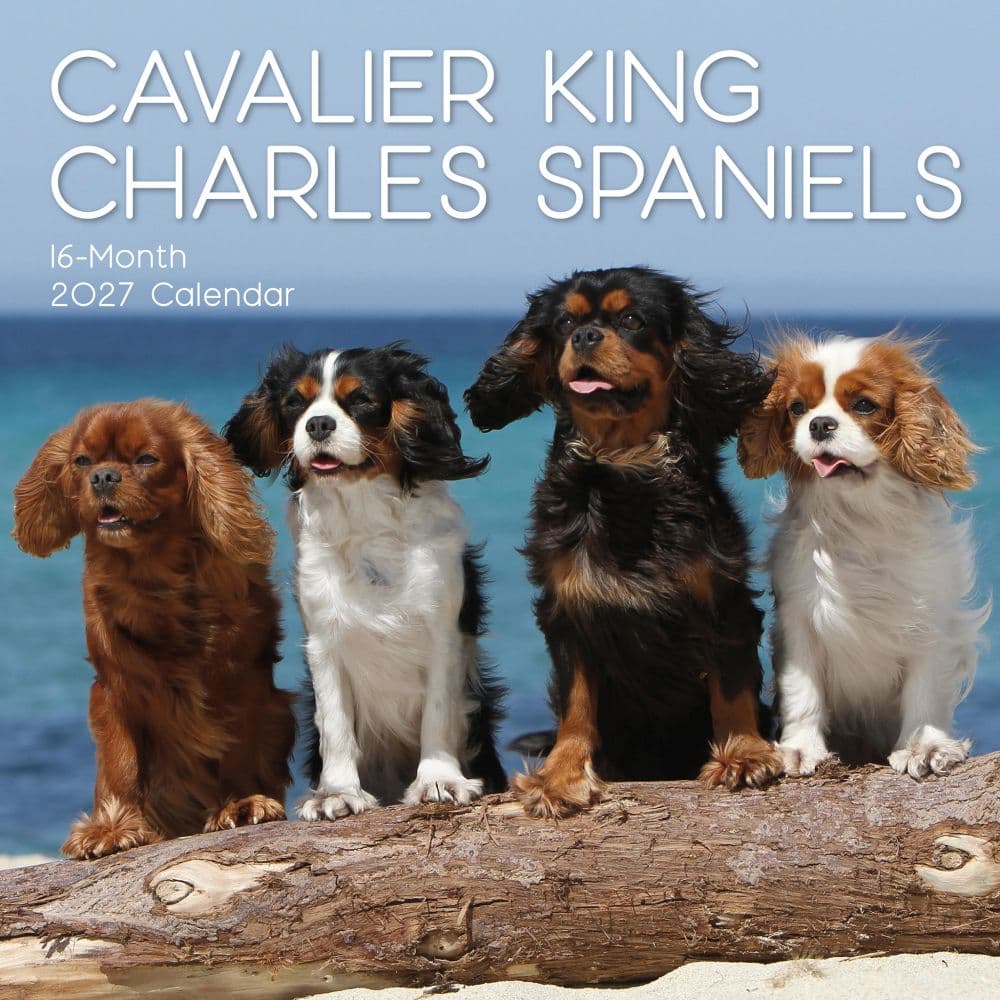 image Cavalier King Charles Spaniels 2027 Wall Calendar Main Product Image