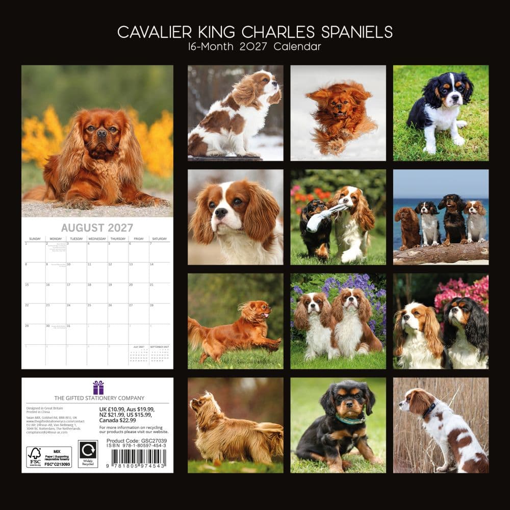 Cavalier King Charles Spaniels 2027 Wall Calendar First Alternate Image
