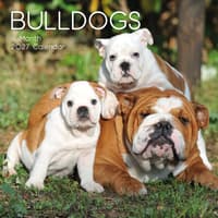 image Bulldogs 2027 Wall Calendar Main Product Image