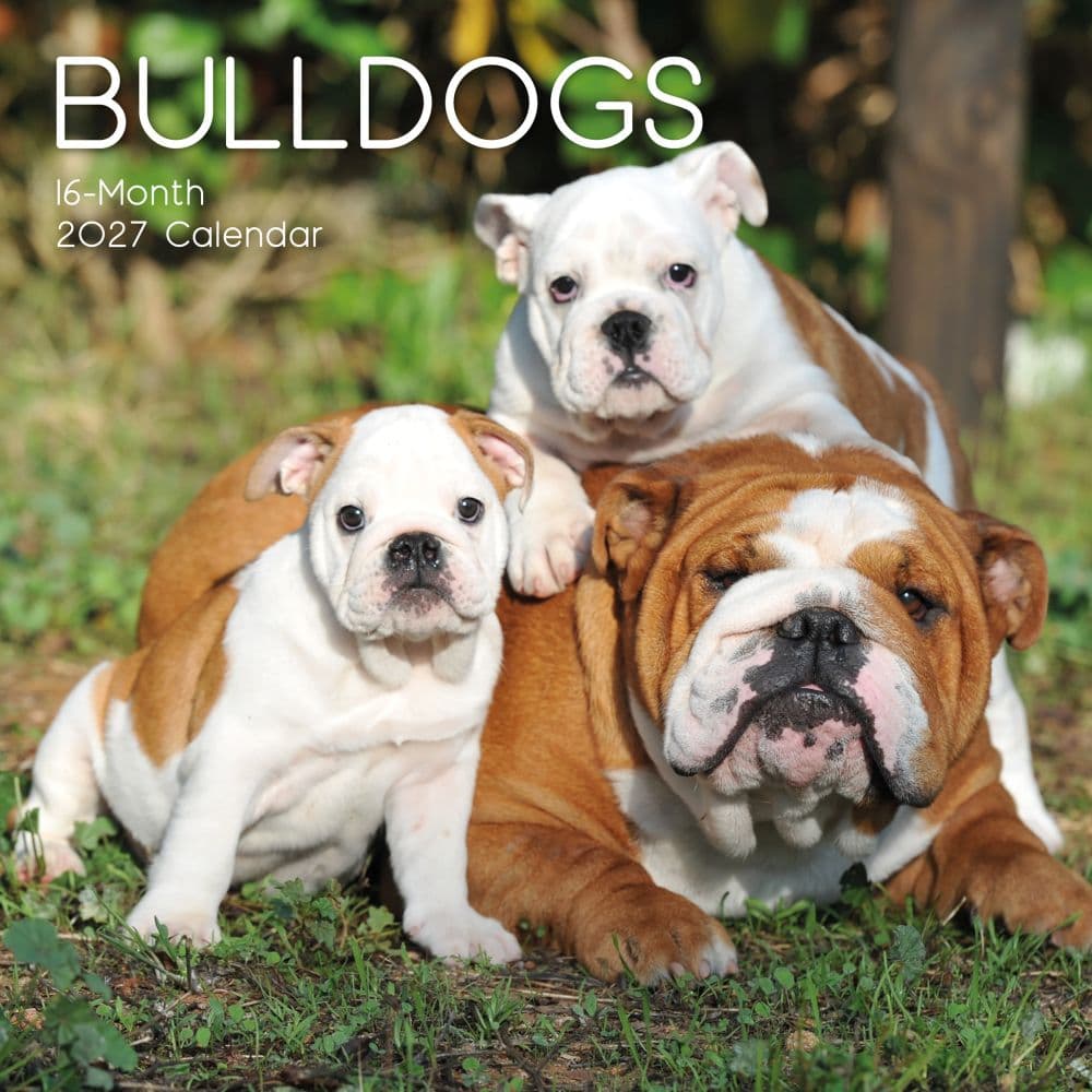 image Bulldogs 2027 Wall Calendar Main Product Image
