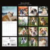 image Bulldogs 2027 Wall Calendar First Alternate Image