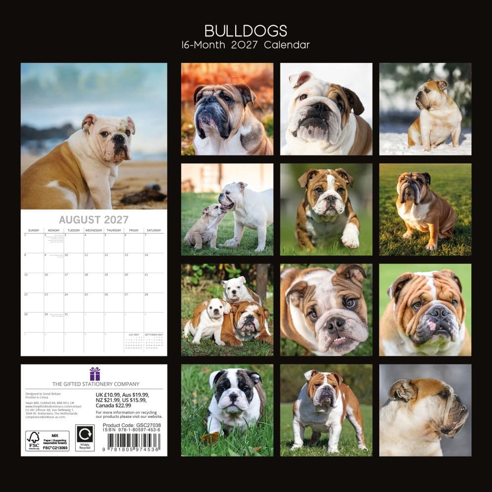Bulldogs 2027 Wall Calendar First Alternate Image