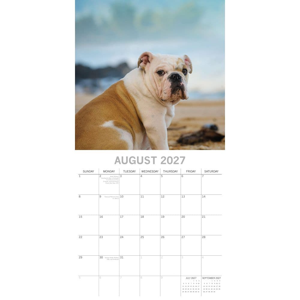 Bulldogs 2027 Wall Calendar Second Alternate Image