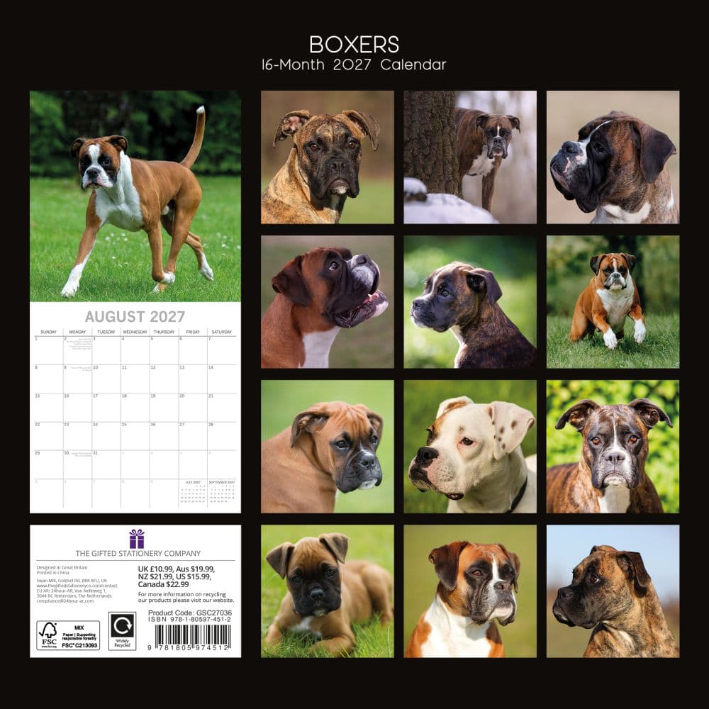 Boxers 2027 Wall Calendar First Alternate Image