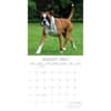 image Boxers 2027 Wall Calendar Second Alternate Image