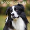 image Border Collies 2027 Wall Calendar Main Product Image