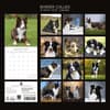 image Border Collies 2027 Wall Calendar First Alternate Image