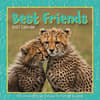 image Best Friends 2027 Wall Calendar Main Product Image