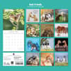 image Best Friends 2027 Wall Calendar First Alternate Image