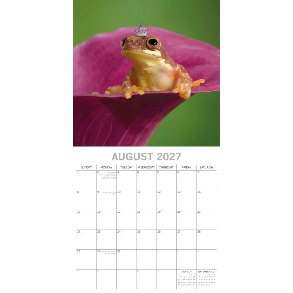 Fabulous Frogs 2027 Wall Calendar Second Alternate Image