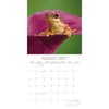 image Fabulous Frogs 2027 Wall Calendar Second Alternate Image