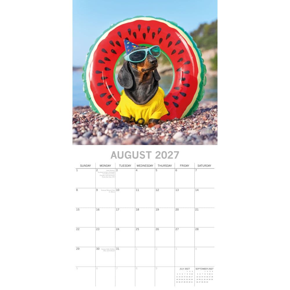 Dogs in Disguise 2027 Wall Calendar Second Alternate Image
