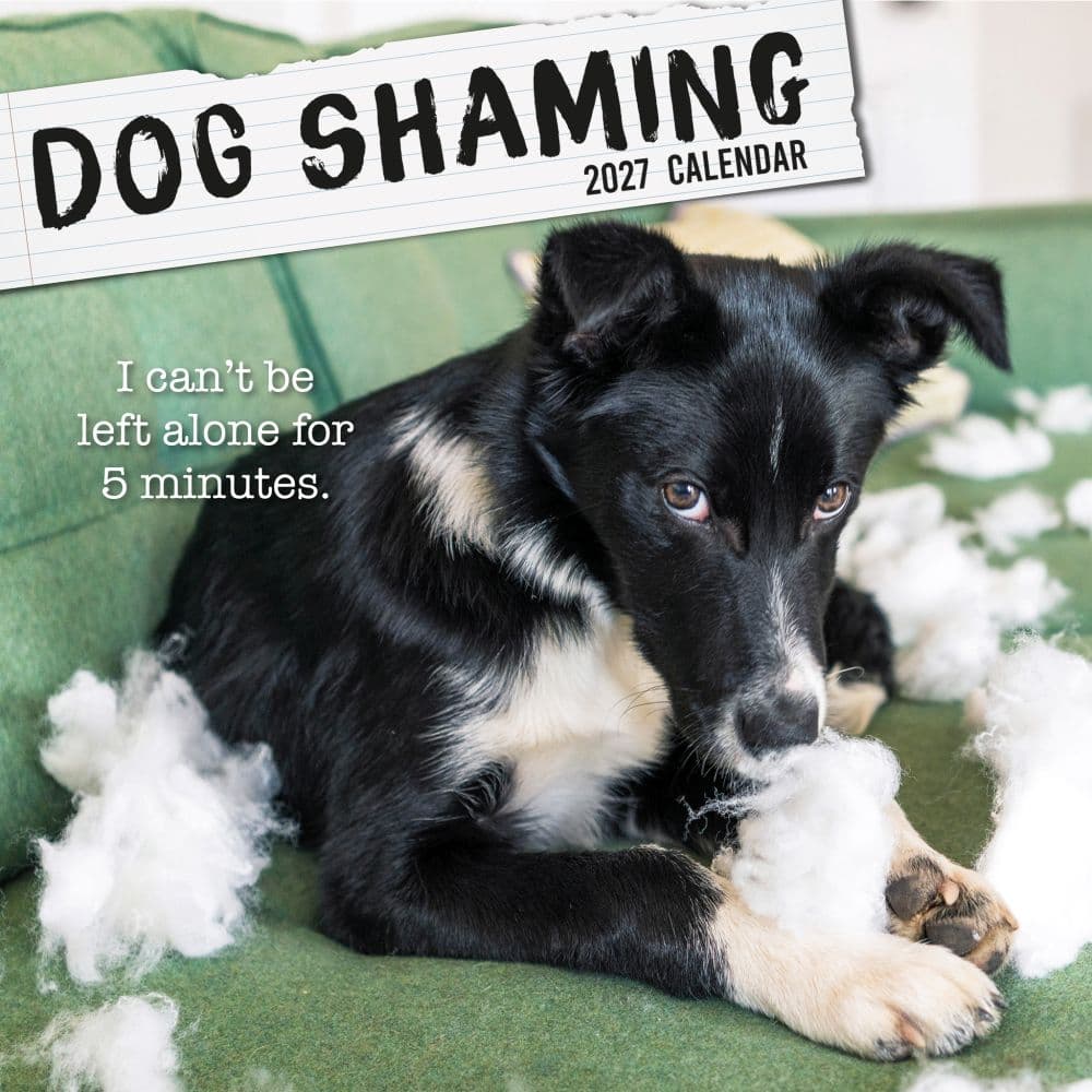Dog Shaming 2027 Wall Calendar Main Product Image