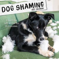 image Dog Shaming 2027 Wall Calendar Main Product Image