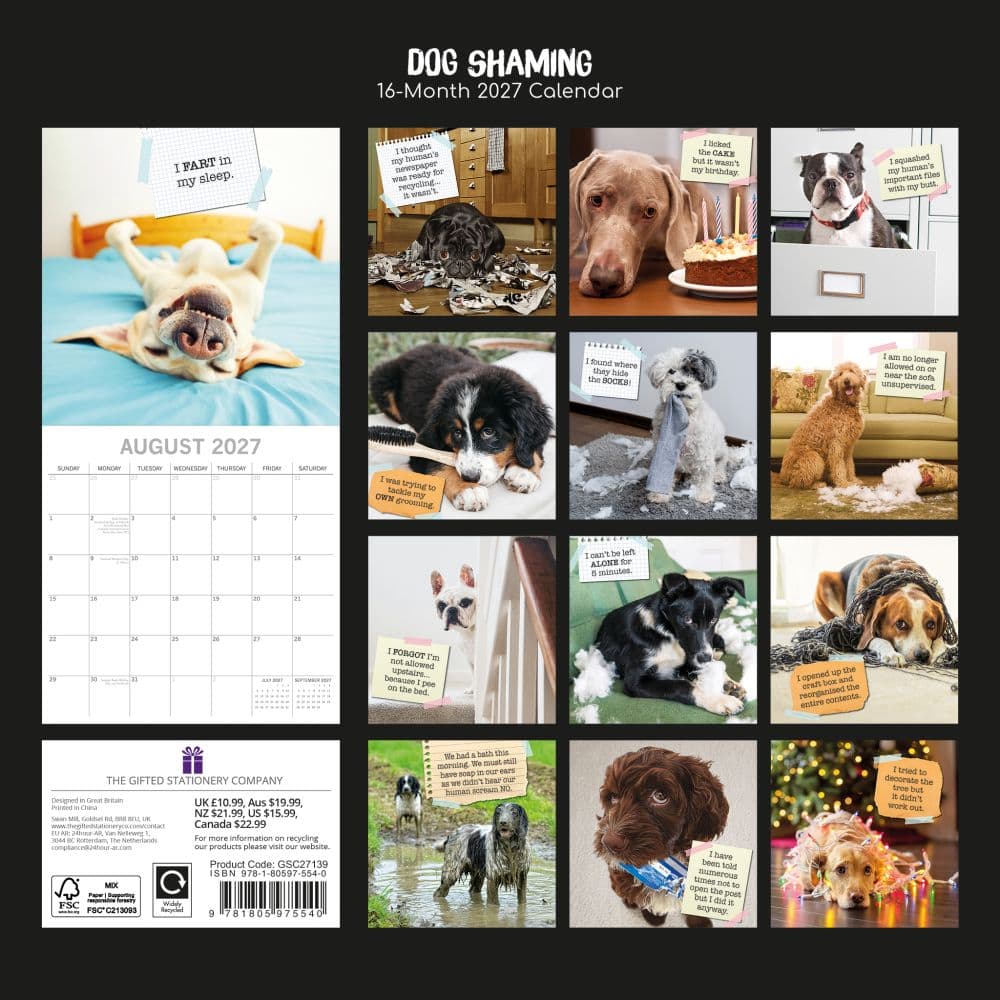 Dog Shaming 2027 Wall Calendar First Alternate Image