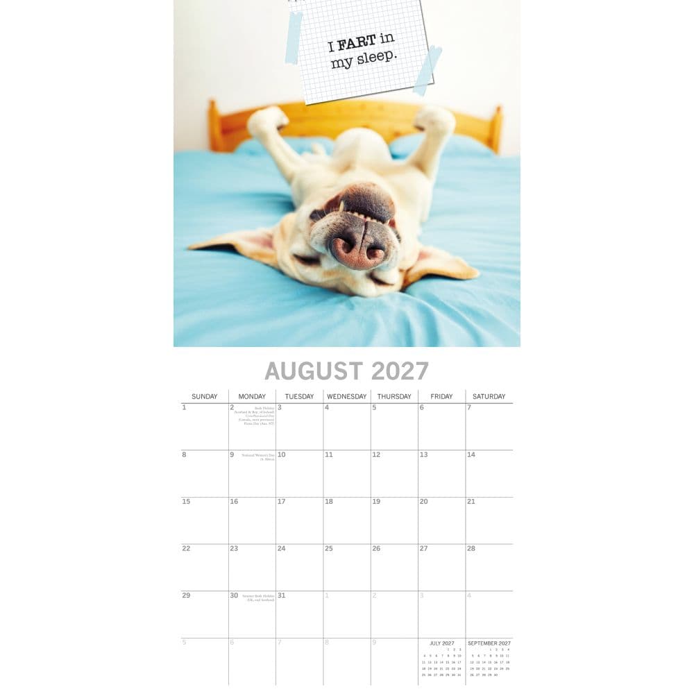 Dog Shaming 2027 Wall Calendar Second Alternate Image