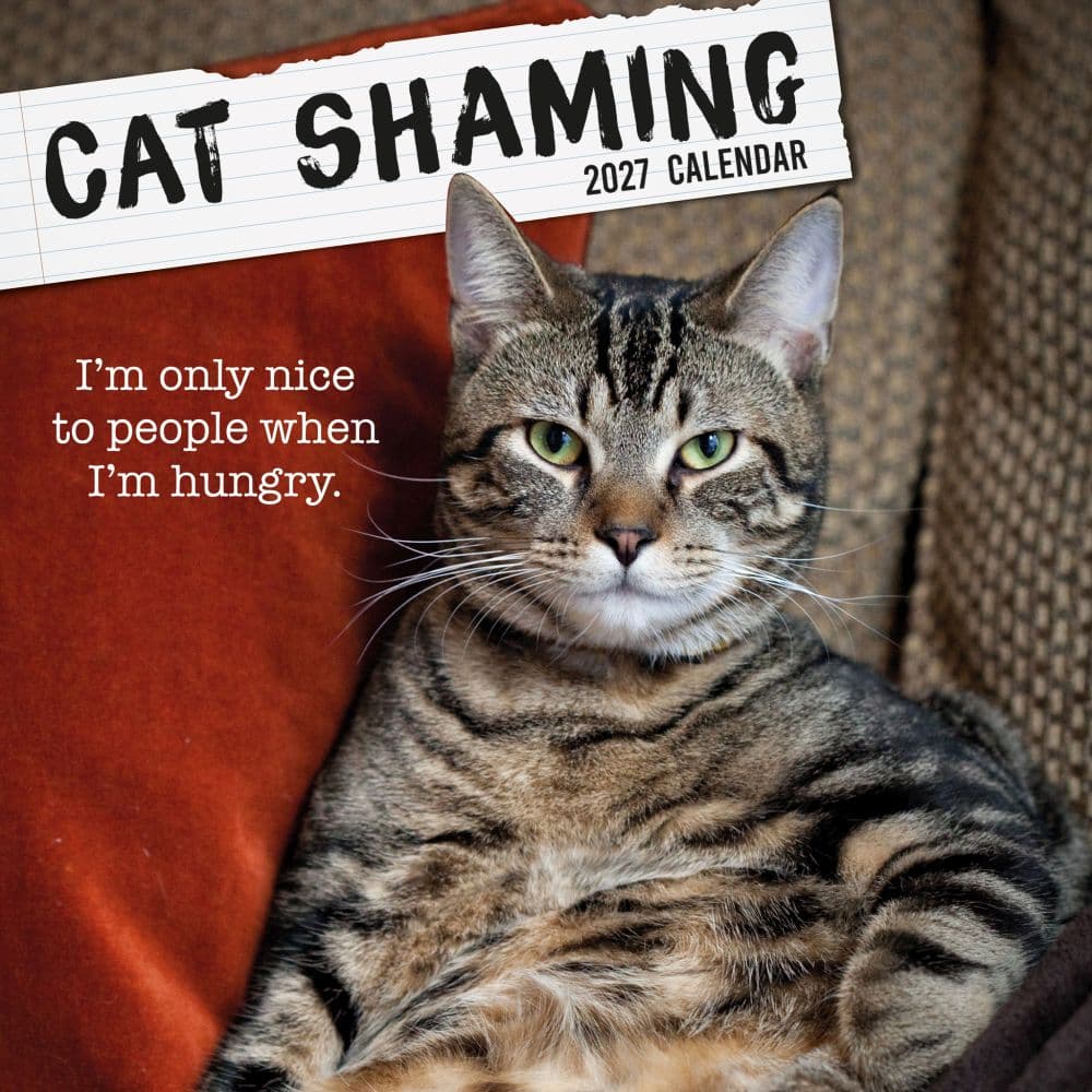 Cat Shaming 2027 Wall Calendar Main Product Image