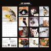 image Cat Shaming 2027 Wall Calendar First Alternate Image