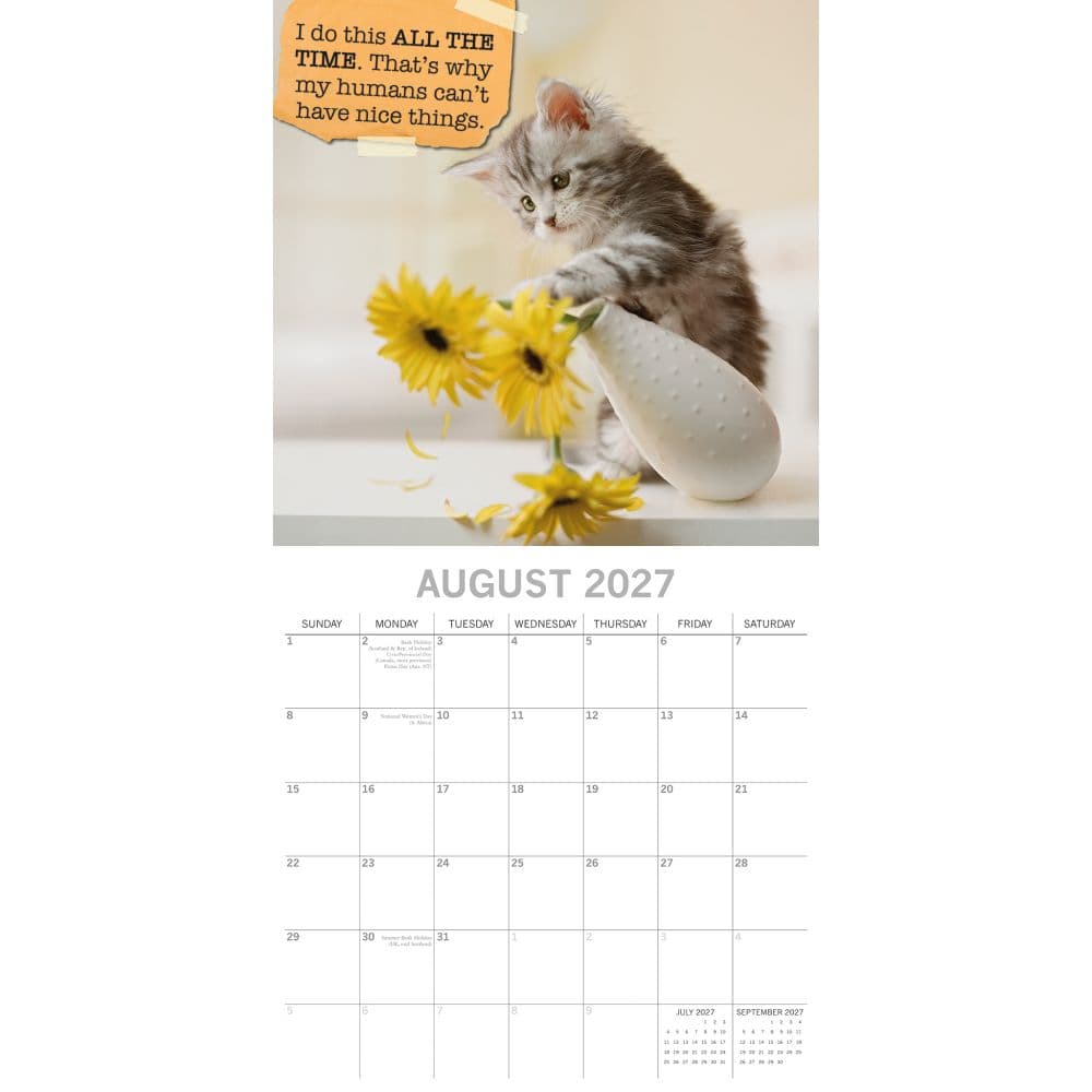 Cat Shaming 2027 Wall Calendar Second Alternate Image
