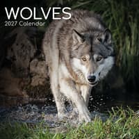 image Wolves 2027 Wall Calendar Main Product Image