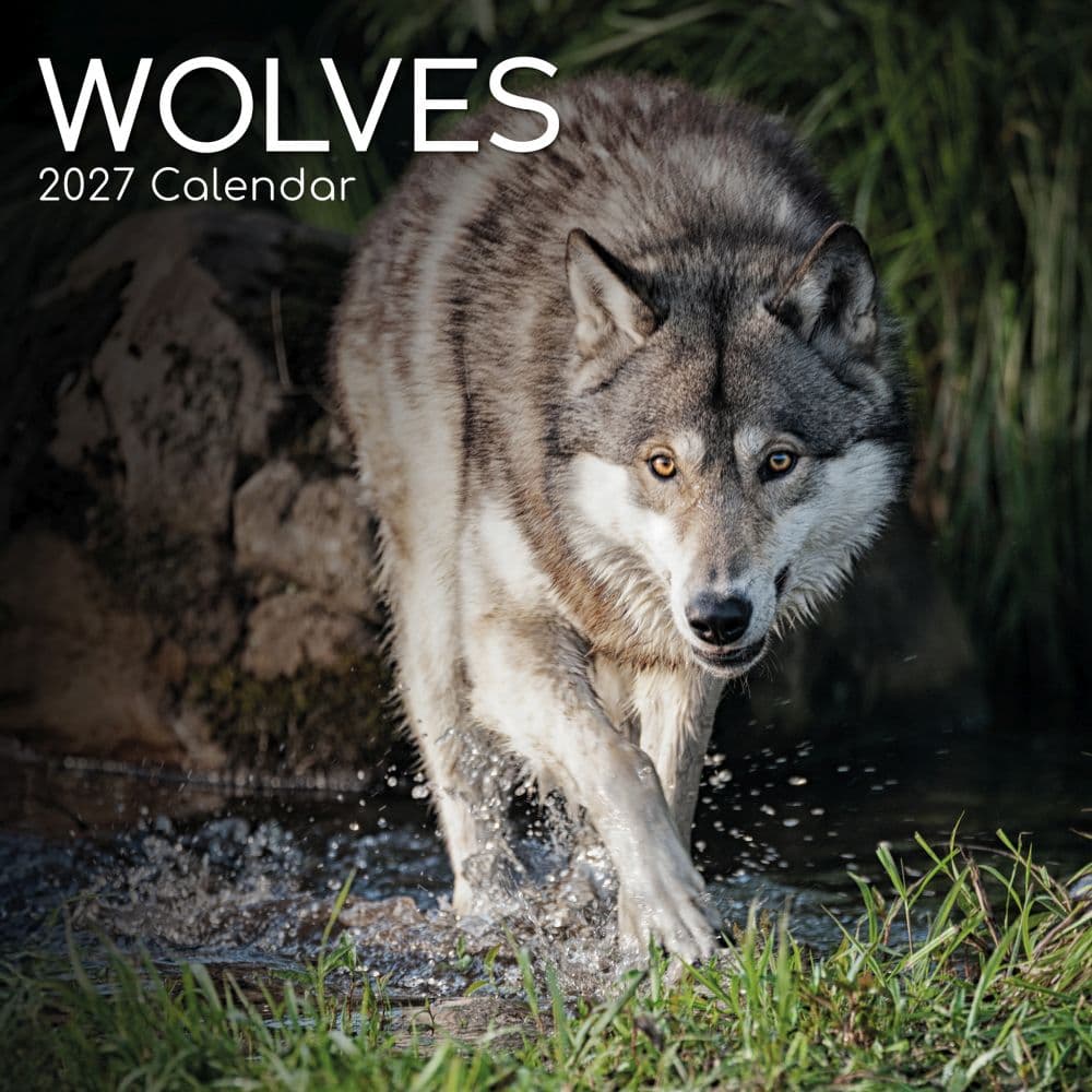 image Wolves 2027 Wall Calendar Main Product Image