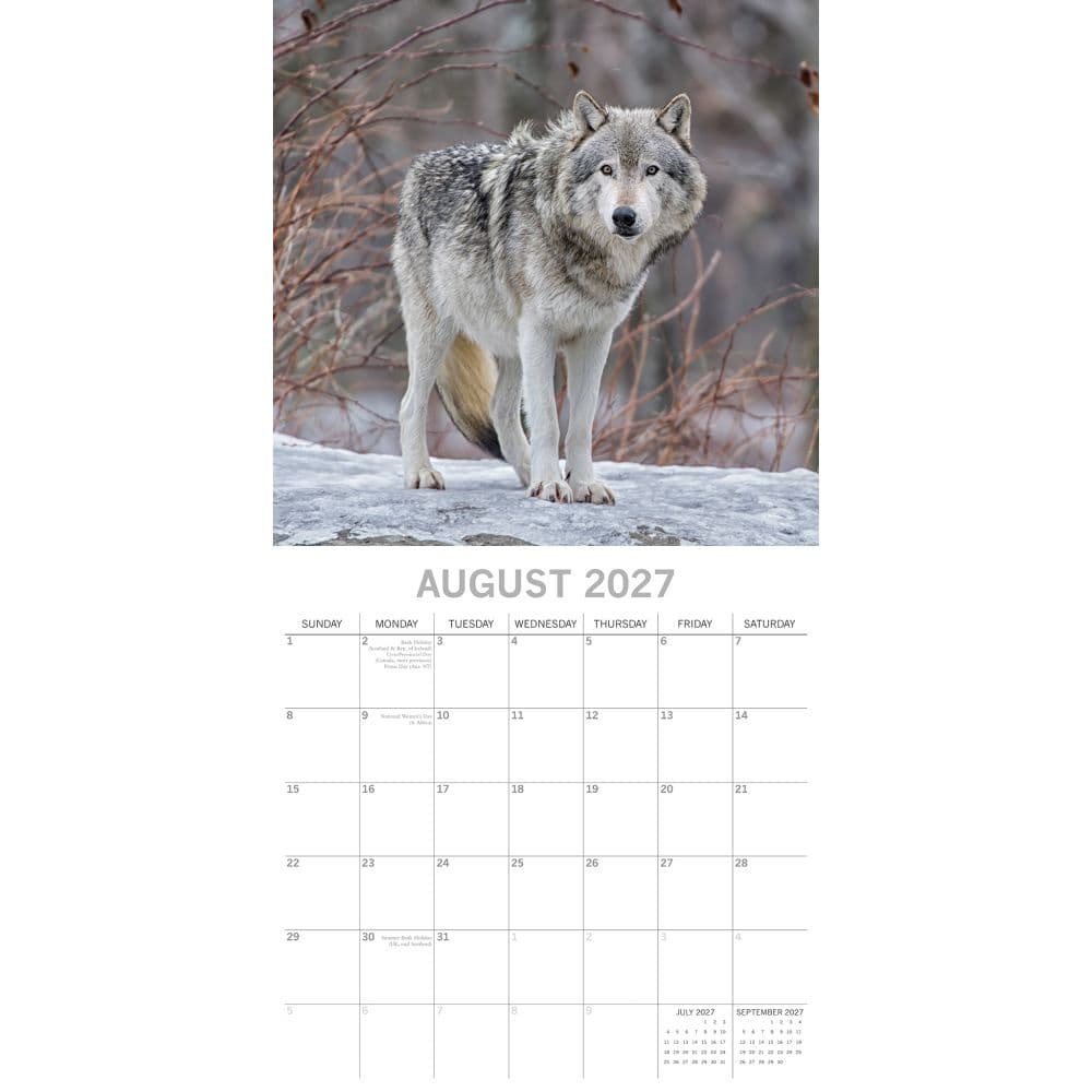 Wolves 2027 Wall Calendar Second Alternate Image