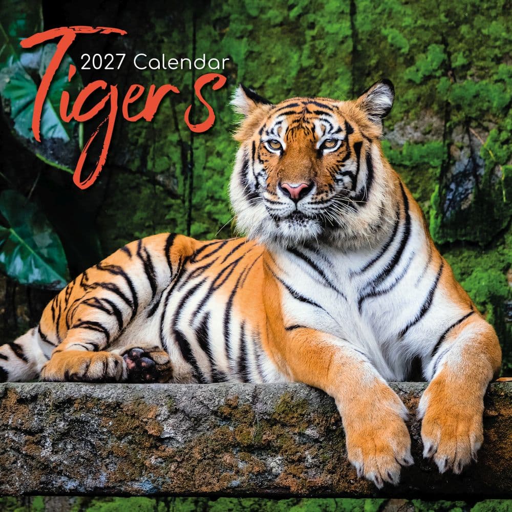 Tigers 2027 Wall Calendar Main Product Image