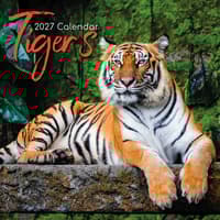 image Tigers 2027 Wall Calendar Main Product Image