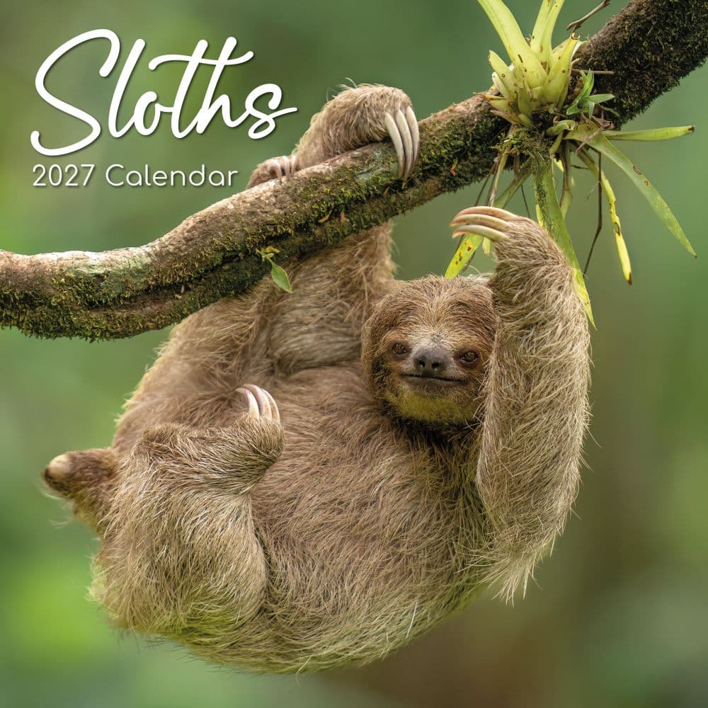 Sloths 2027 Wall Calendar Main Product Image