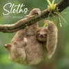 image Sloths 2027 Wall Calendar Main Product Image