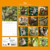 image Sloths 2027 Wall Calendar First Alternate Image