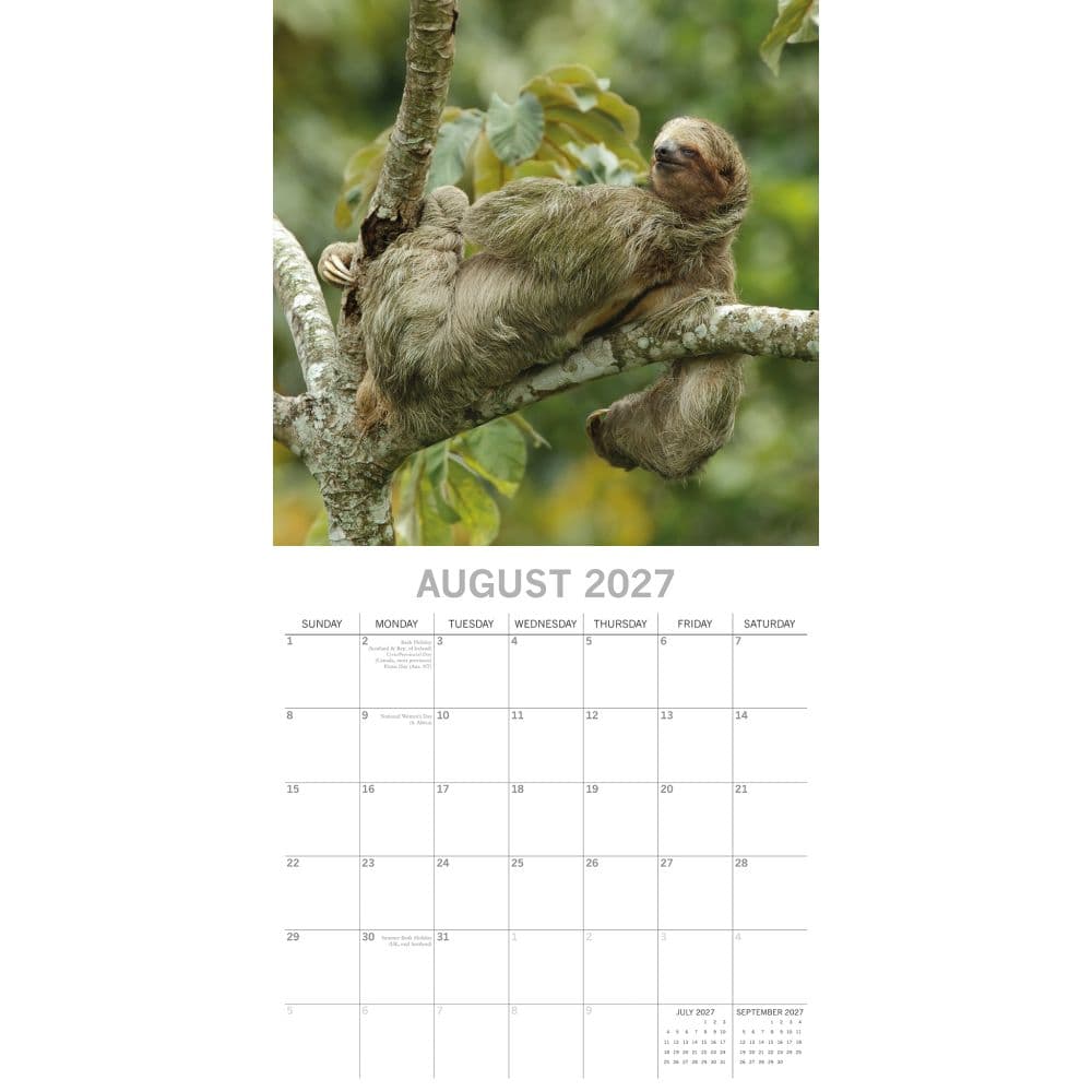 Sloths 2027 Wall Calendar Second Alternate Image