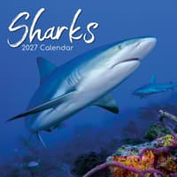 image Sharks 2027 Wall Calendar Main Product Image