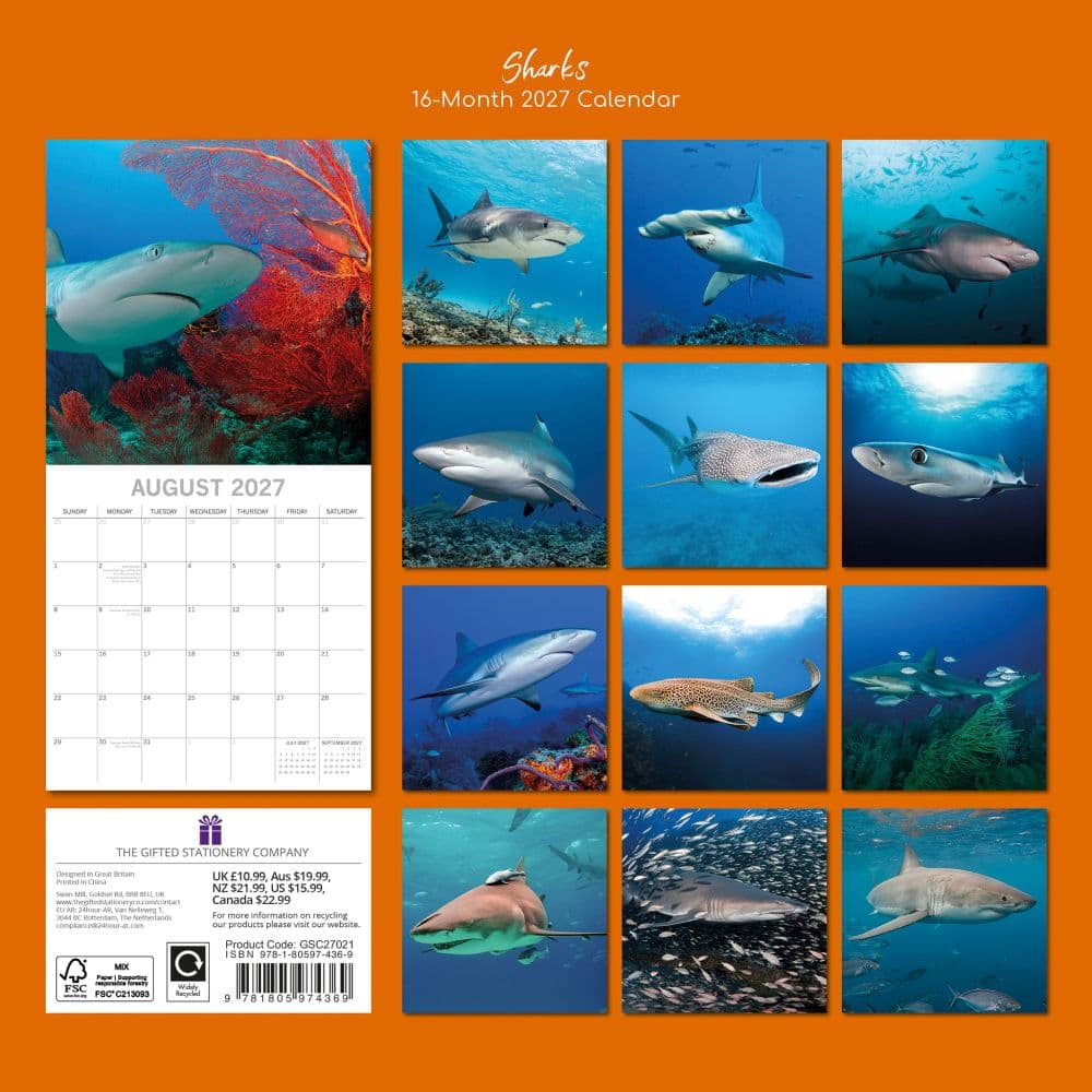 Sharks 2027 Wall Calendar First Alternate Image