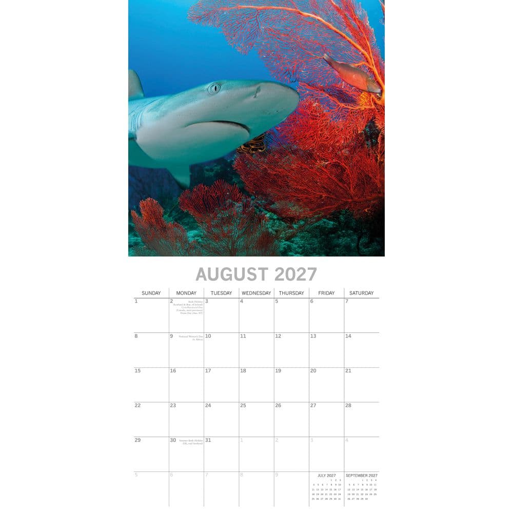 Sharks 2027 Wall Calendar Second Alternate Image