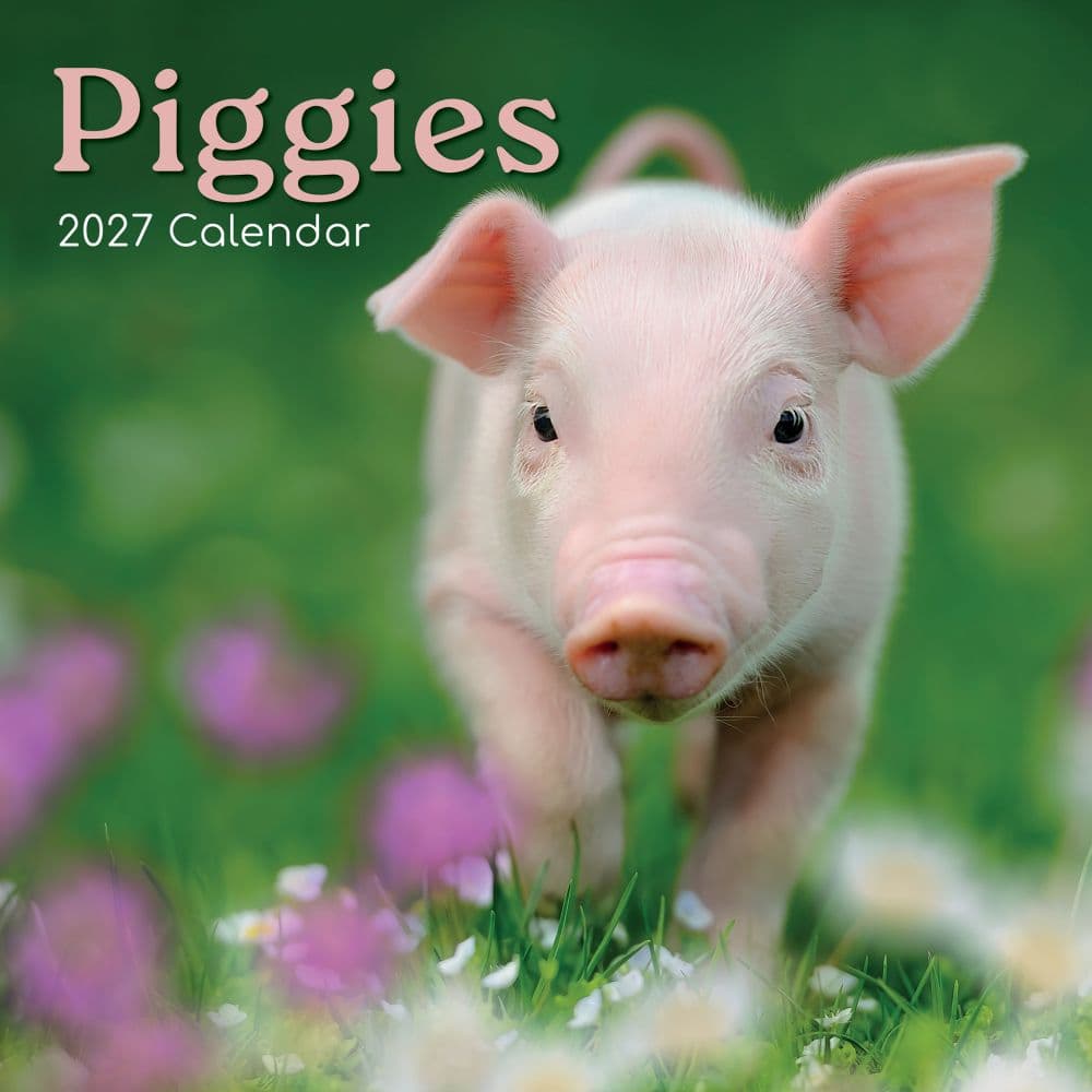 Piggies 2027 Wall Calendar Main Product Image