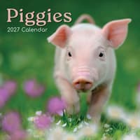 image Piggies 2027 Wall Calendar Main Product Image