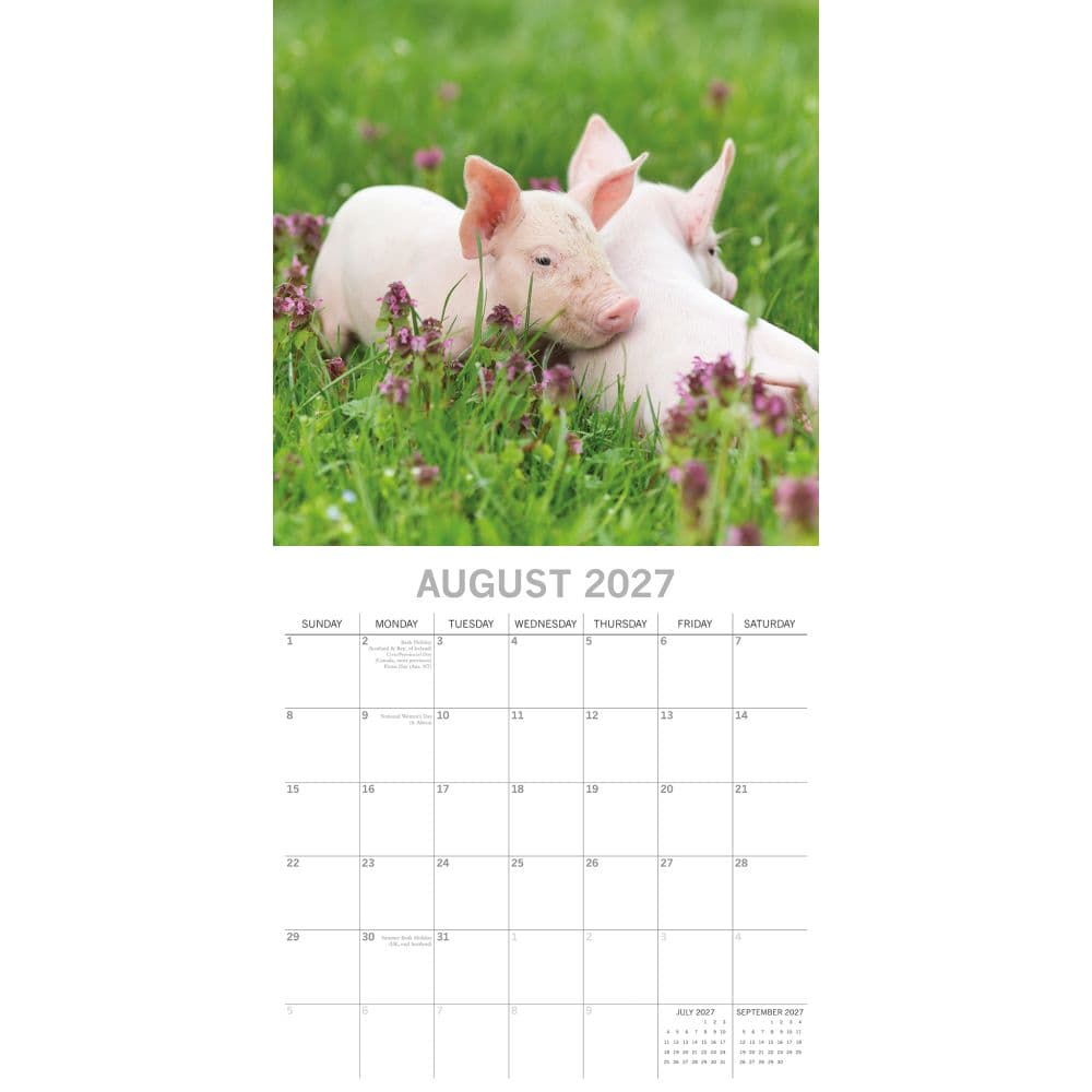 Piggies 2027 Wall Calendar Second Alternate Image